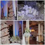 EVENT PLIVA/HNK